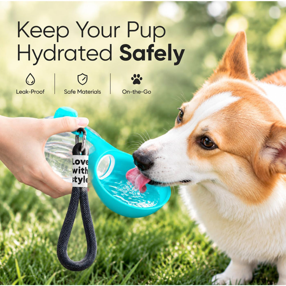 2-in-1 Portable Dog Water Bottle